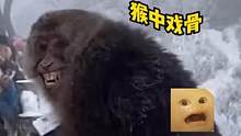 #峨眉山最有礼貌的猴子 它开始挽回形象了吗？#峨眉山猴子 #专治不开心 cr:@00ZZZZ-