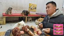 狗娃陪你们过年