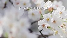 愿我们都可以行己所爱，爱己所行.