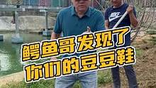 鳄鱼哥发现了你们的豆豆鞋（X）#鳄珍 #鳄鱼 #豆豆鞋