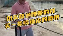 用买普通腰带的钱买一条鳄鱼皮的腰带（骨皮）（S）#鳄珍 #鳄鱼