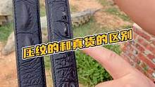 压纹的和真货的区别在哪里你知道吗（Z）#鳄珍 #鳄鱼 #皮带