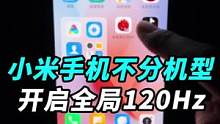 小米手机如何开启全局120Hz高刷新率？不分机型、不限屏幕，今天教会你！
