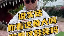 说实话,你看这鱼大吗,你看这鞋亮吗X#鳄珍 #鳄鱼 #豆豆鞋