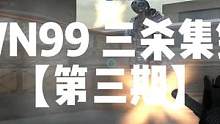 WN99 三杀集锦 【第三期】#2023CFPL