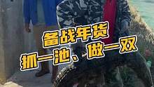 备战年货，抓一池、做一双。#鳄珍 #鳄鱼