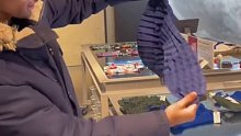 感觉可以从小穿到大