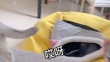 就是说引以为戒吧