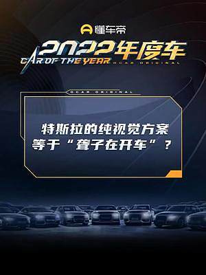 特斯拉死磕純視覺方案，有網(wǎng)友說這等于“聾子在開車”？你怎么看？#車圈硬核年終獎出爐 #dcar不打烊