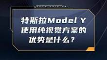 #特斯拉modely 为什么选择纯视觉方案？它的优势是什么？#车圈硬核年终奖出炉 #dcar不打烊 