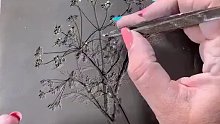 一些花花草草，就能留住永恒！试试吧