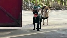 沟通无障碍