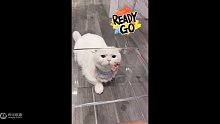 唉脑壳也短