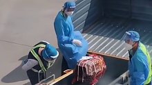 但托运了猫咪小姐姐眼睛都移不开了