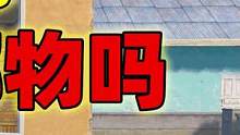 象昊：淘汰后变身光子鸡能挡住人物，可以挡住投掷物跟子弹吗？