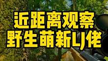 #逃离塔科夫 近距离观察野生萌新垃圾佬