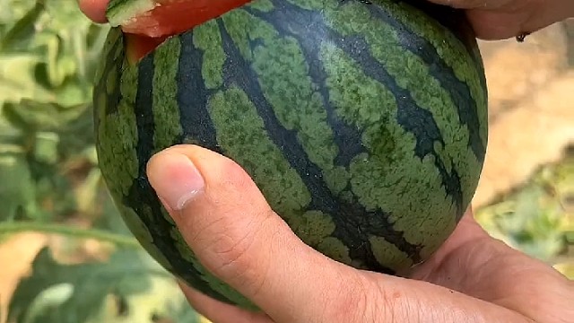 nc-小黑视频_nc-小黑直播视频_nc-小黑精彩视频集锦_虎牙视频