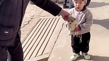 姥爷从窝里薅出小狗子来哄娃娃，狗子：拿我命哄外孙是不