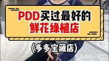 新年该装饰家里啦!你们pdd买过最好看的鲜花绿植店有吗?#多多宝藏店 #拼多多是懂省钱的 #拼多多春
