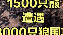当1500只熊遭遇8000只狼围攻！ #大片即视感 #单机游戏