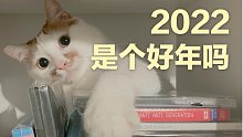 2022年，仍有音乐电影和小猫，以及想见的人。