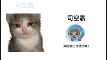 司空喵，但是没皮肤