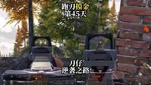 挑战跑刀打造纯金仓库的第45天。刀仔的逆袭之路！