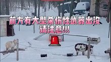 邻居：我谢谢你全家！
