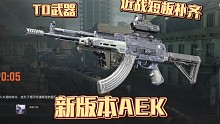 满改枪体验：新版本AEK实战！