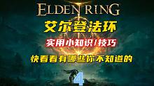 【艾尔登法环】实用小知识/技巧 快看看有哪些你不知道的 ④