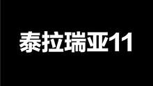 泰拉瑞亚11