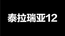 泰拉瑞亚12