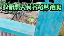 谁是凶手？救命恩人莫名其妙就被噶了！ #搞笑吃鸡 #吃鸡日常 #爱打和平精英的陈大爷