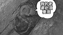 猫头鹰为了孵蛋的老婆，拼了