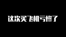 #机场大亨 #年度飞行盘点 这次买的飞机竟然亏了这么多#游戏 #飞机模拟游戏 