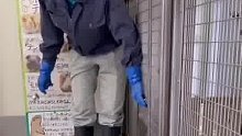 第一次见这种大场面