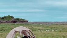 海边露营#露营报告 #野营 #户外