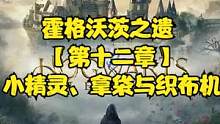 霍格沃茨之遗 【第十二章】小精灵、拿袋与织布机#霍格沃茨之遗 #霍格沃茨遗产#steam游戏#ps5