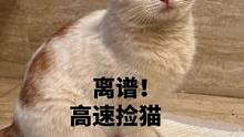 退退退！！！再也不乱立flag了 又捡#流浪猫 了