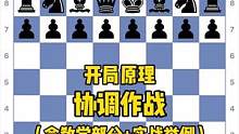 开局原理教学系列：第三课-协调作战（含教学＋实战举例）#国际象棋 #chess