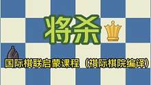 国际棋联基础教程09–将杀#国际象棋 #国际象棋入门