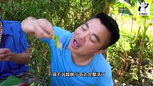 吃鱼生