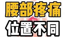 腰部不同位置疼痛，表示的问题不同#体态纠正 #腰部 #颈肩腰腿疼 #健康 #体态调整