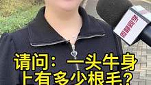 你知道一头牛身上有多少根毛吗？