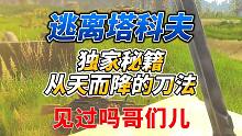 《逃离塔科夫》从天而降的刀法见过吗哥们儿？