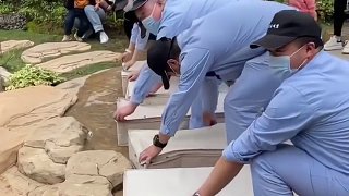 趕上了動物園放蝴蝶，多得像大撲棱蛾子