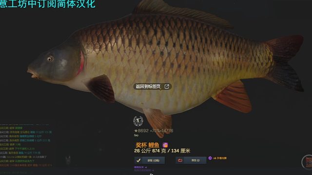 渔夫在线、中国DLC鲤鱼奖杯