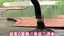 游客0距离“亲近”洪水，多人不知危险嬉笑拍照