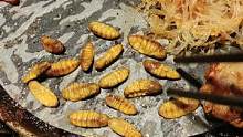 #一起吃烤肉 #蚕蛹挑战