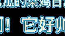 七夕我在聚窟洲看鸟0.0...所以到底什么情况它才会出现呢.....#永劫无间 #樱桃派对#游戏日常